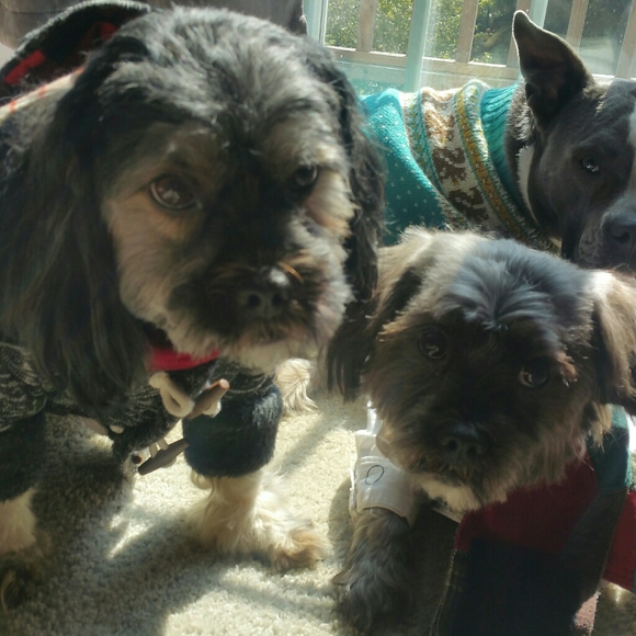 Meet your Posher, Tee - Picture 5 of 12